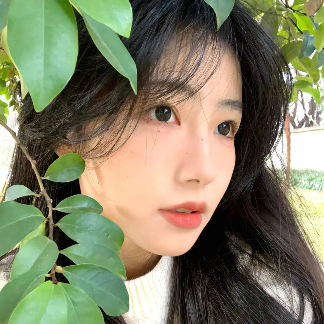 小犬与女孩